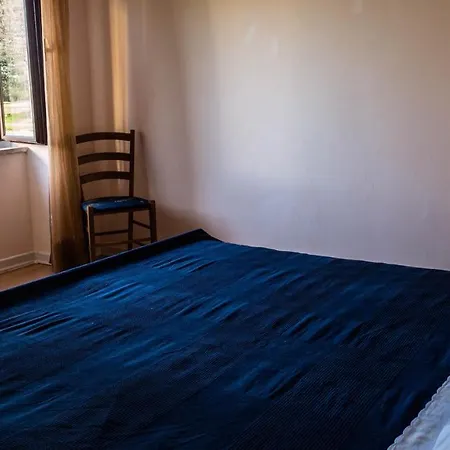 Appartement In Novigrad Istrien 35884 Novigrad Istria